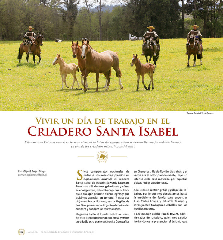 Tienda  Federación Criadores Caballos Raza Chilena
