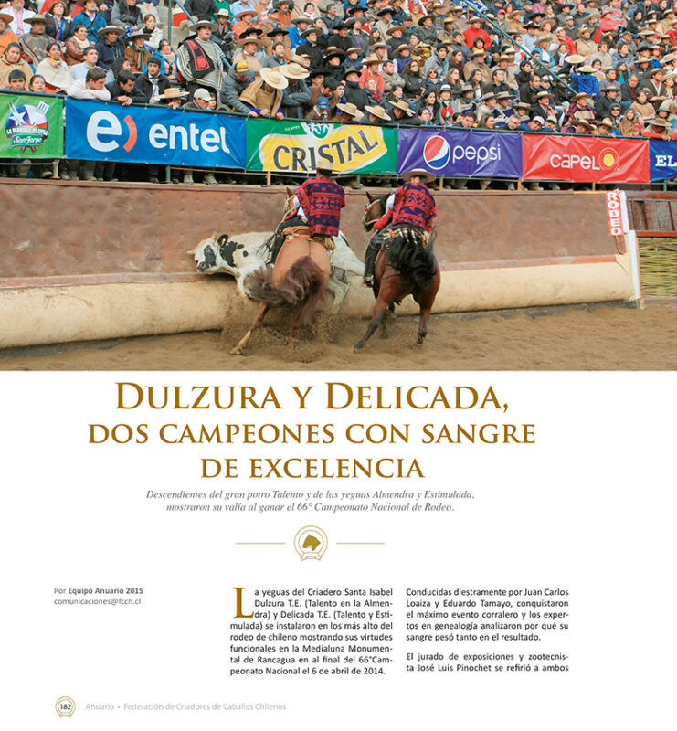 Tienda  Federación Criadores Caballos Raza Chilena