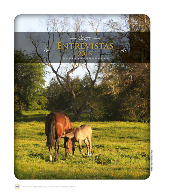 Tienda  Federación Criadores Caballos Raza Chilena