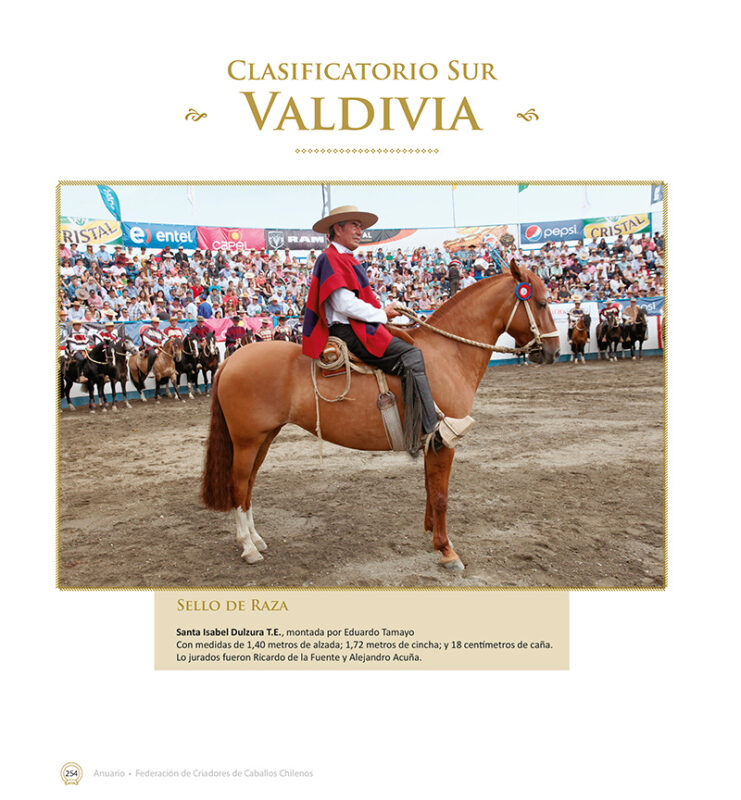 Tienda  Federación Criadores Caballos Raza Chilena