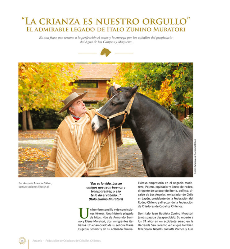 Tienda  Federación Criadores Caballos Raza Chilena