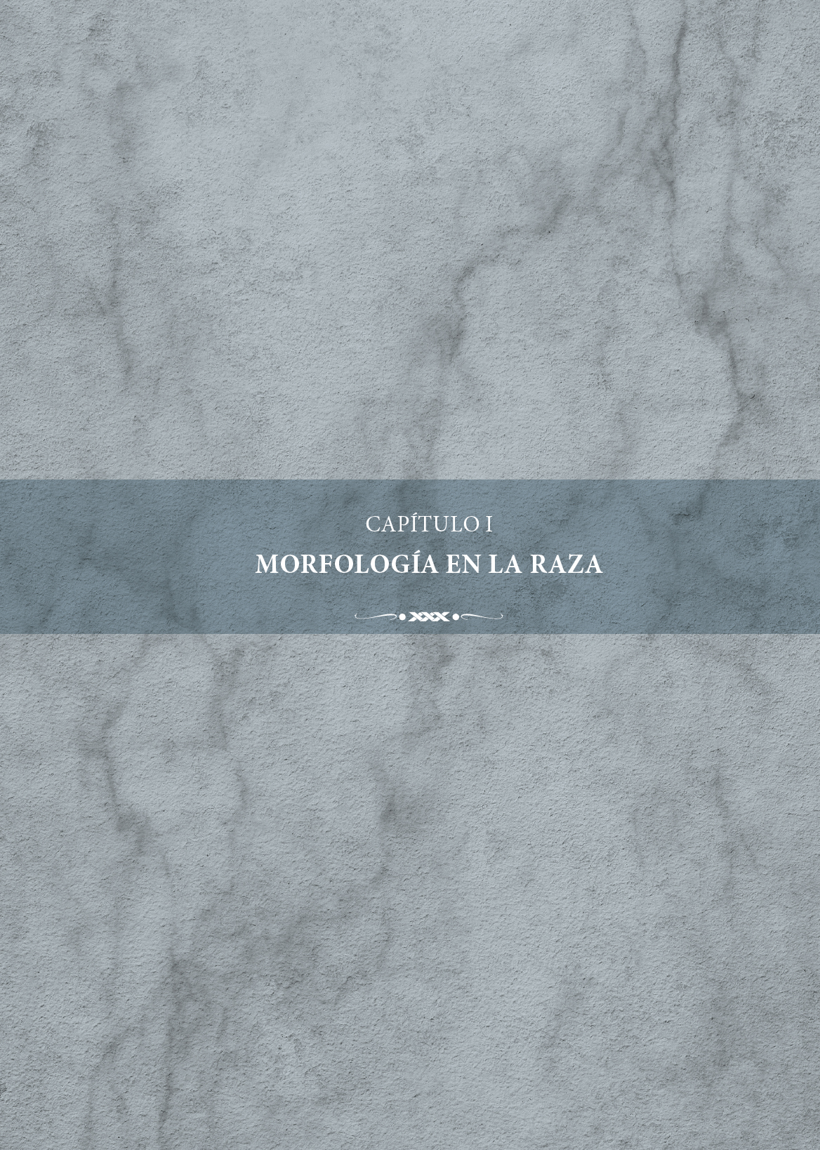 imag1_3erlibroRelatos