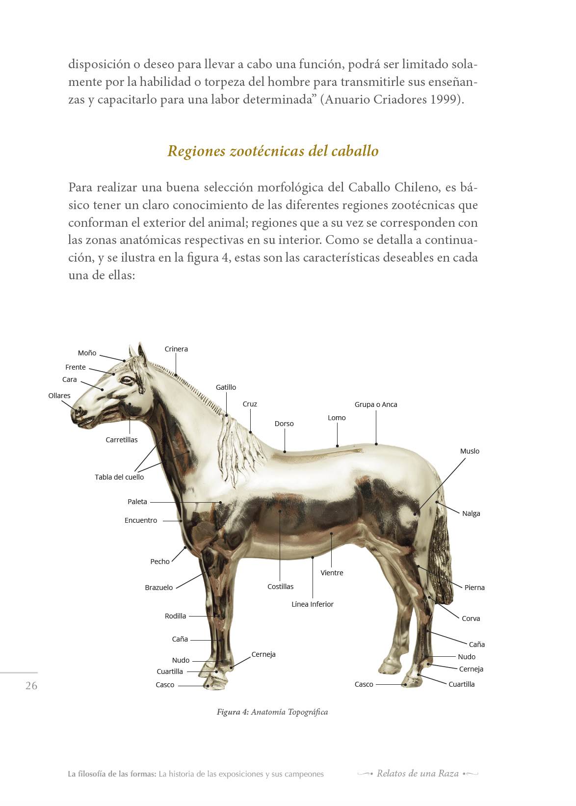 imag3_3erlibroRelatos