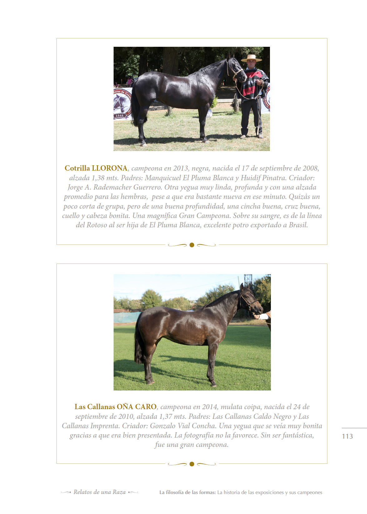 imag7_3erlibroRelatos